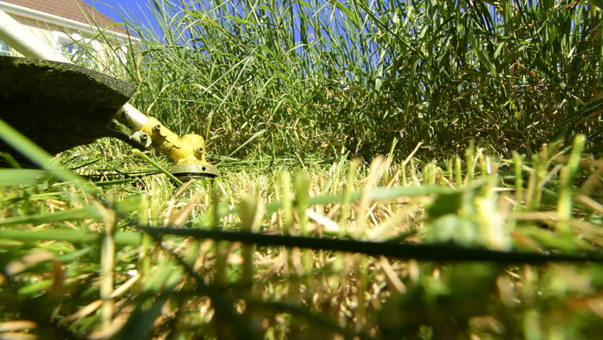 Rotary Lawn Mower Mowing The Grass