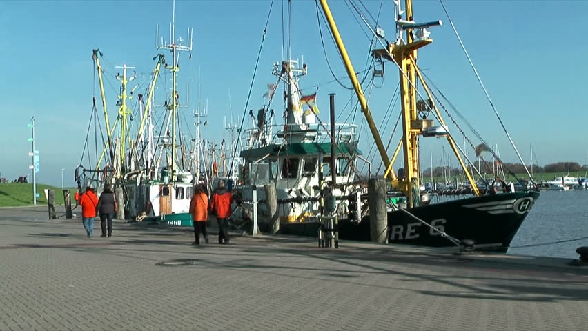 shrimp boats in harbour