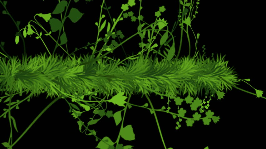 flower & plant growing background.