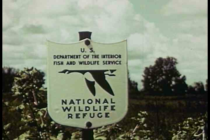 1940s - Wildlife needs to be protected from bad land practices and hunting in this progressive film from the 1940s.