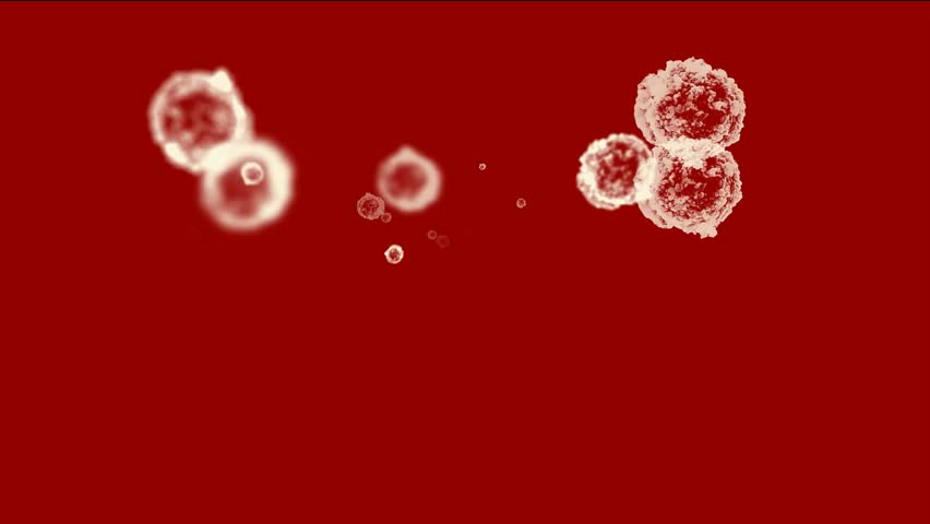 cells & virus,dust particles.