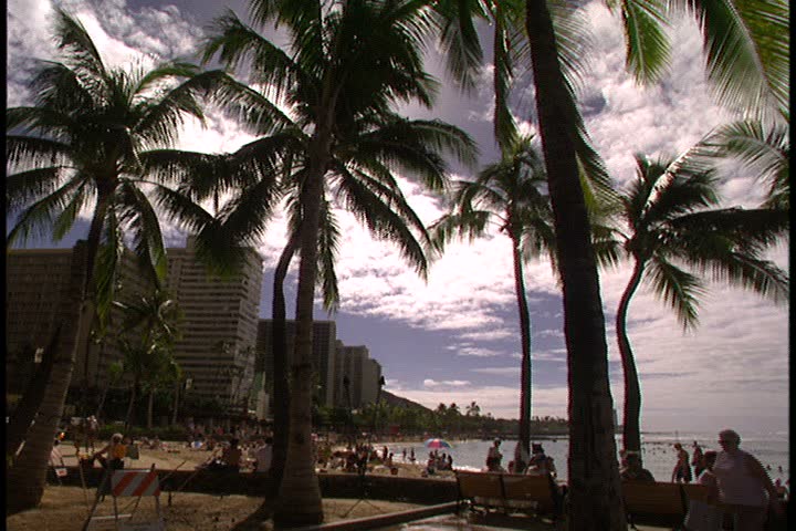 WAIKIKI BEACH, HONOLULU, HAWAII - JANUARY 30, 1997: scenic b-roll at Waikiki Beach, Hawaii: quick pan to right from palm trees, to beach and tourists to hotel.
