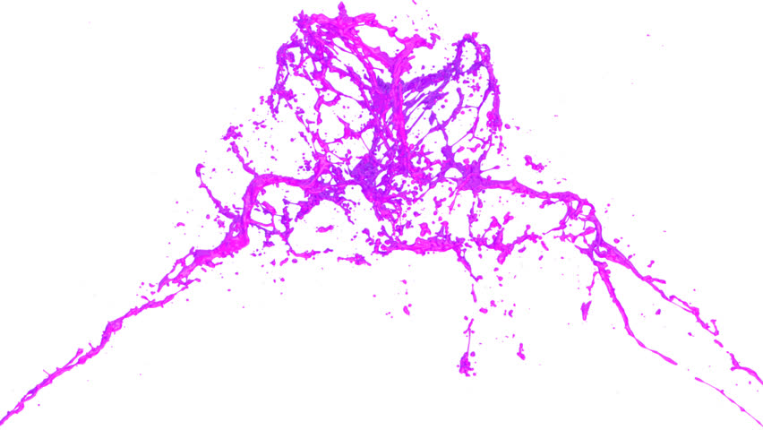 pink paint splashes collide in slow motion, isolated on white (FULL HD)