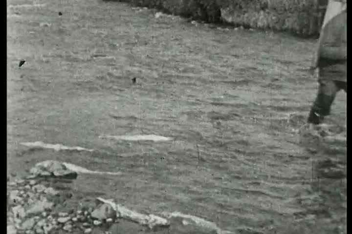 1920s - Filming grizzly bears in Alaska with cubs. A silent film by noted explorer Harold McCraken for Field & Stream.