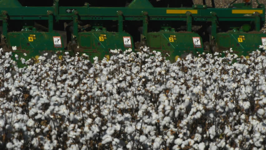 close up of a cotton harvester at work in a field of cotton