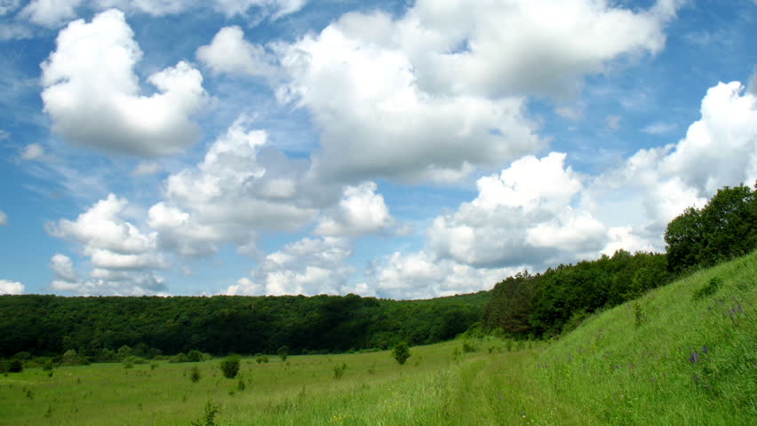 Summer landscape - field of grass. Timelapse