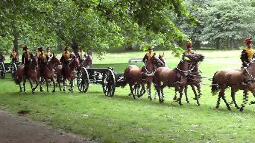 Royal guards taking part in the Queen's birthday selebration.
