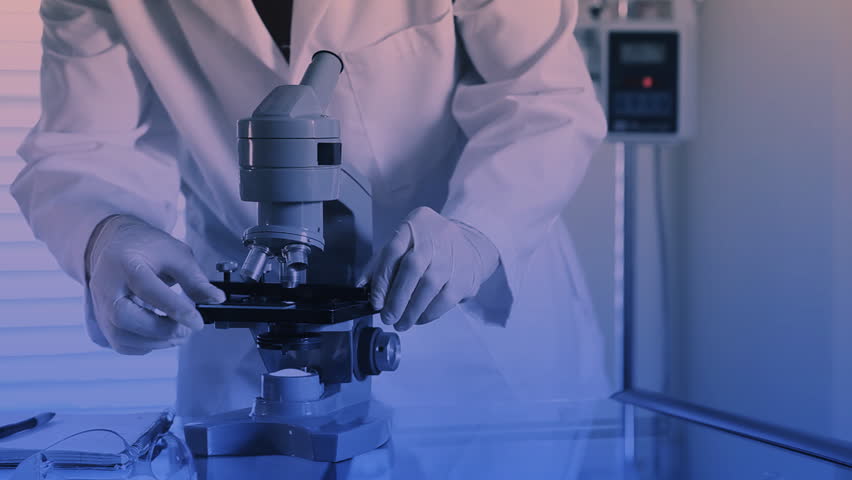 Radial dolly of a scientist places a slide on the specimen stage of a laboratory microscope and then makes adjustments to the focus.