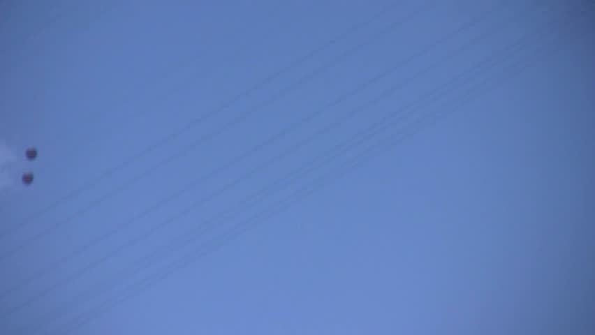 HD clip of a soaring vulture against a blue sky - but with an unusual addition, as the vulture is trailing a long piece of fishing line that gleams in the sun as it circles and soars