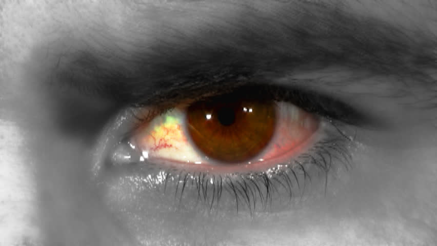 Human Eye looking in different directions eyebrows and lashes visible