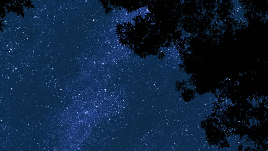 Night Stars 2 