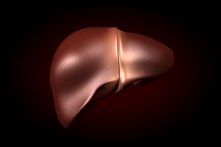 Digital footage of liver 