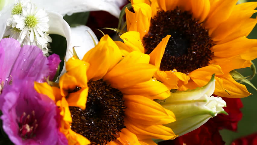 sunflowers in a bunch of flowers