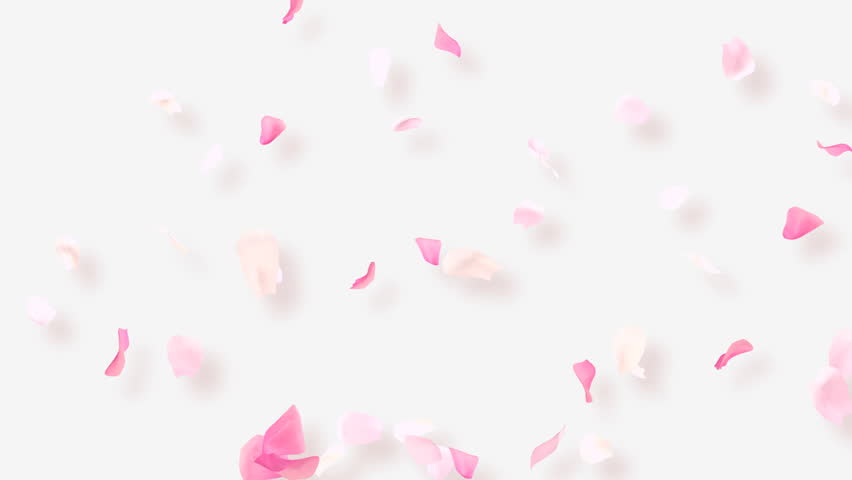 Rose Petals