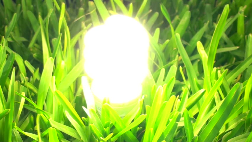 Energy saving light-bulb in grass