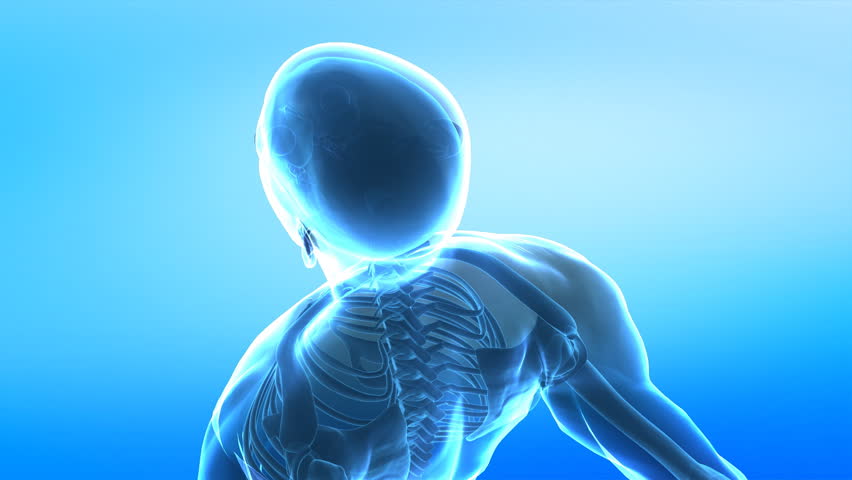 Pain in spine