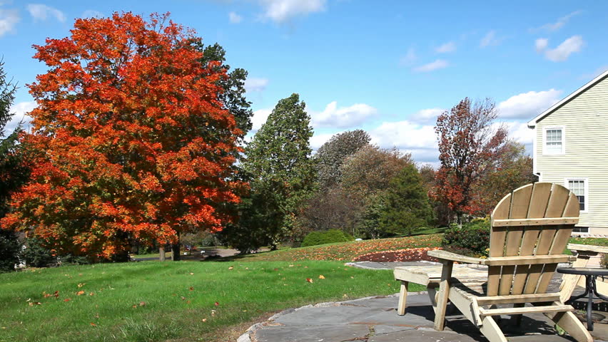 Fall scenic on a windy day