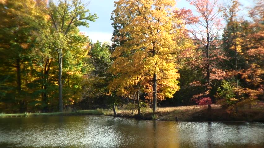 relaxing lake waters anchor an overall peaceful fall scene