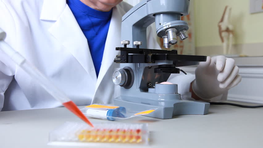 A biologist, scientist, or lab tech places a sample under the microscope with a pipette, then examines the specimen. Camera Tilts up.