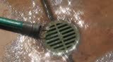 Water flowing from a garden hose down a drain