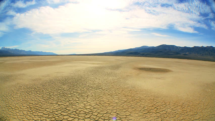 Concept climate change shot of green tree growing in arid desert landscape with hills behind