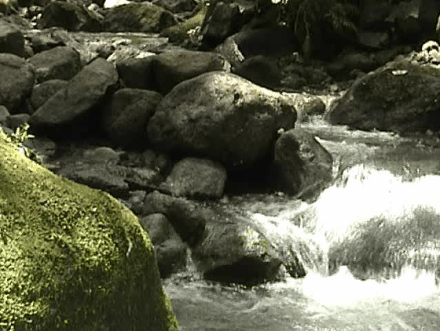 Mountain Creek
