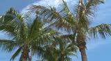 Welcome sign of Miami Beach, Florida