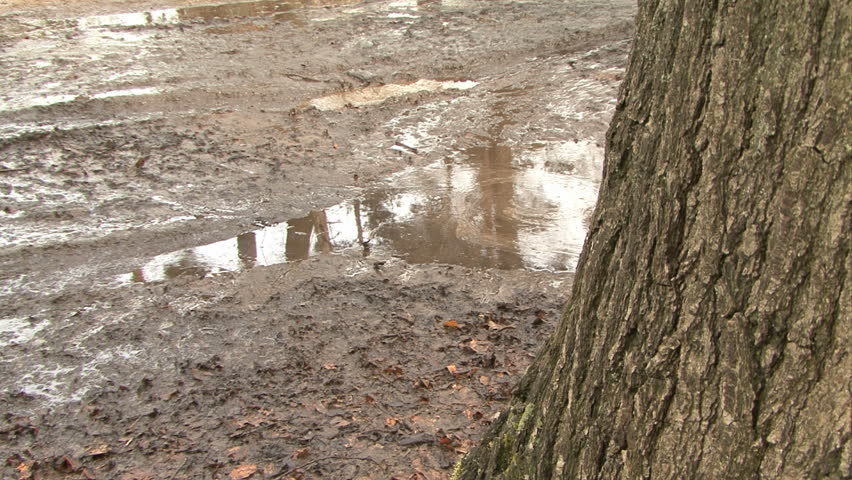 jeep races by through a puddle