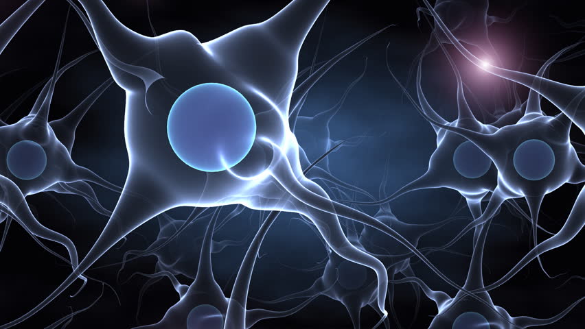 Journey into human head with brain and neurons
