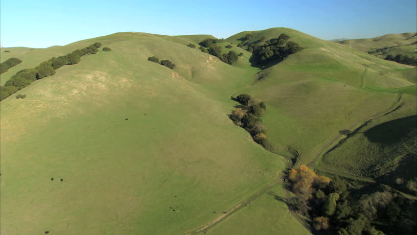 Aerial view of rolling hillside & distant bridges of San Francisco, USA 