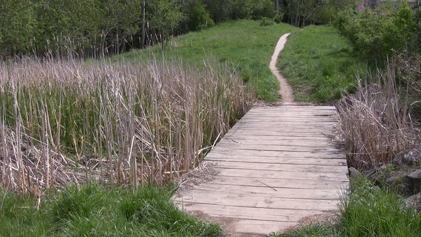 Walking a miniature Dachshund along a path, over a wooden walkway.