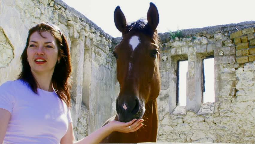 Funny girl and horse. Girl with hand feeding a young stallion. Then the fun laughs.