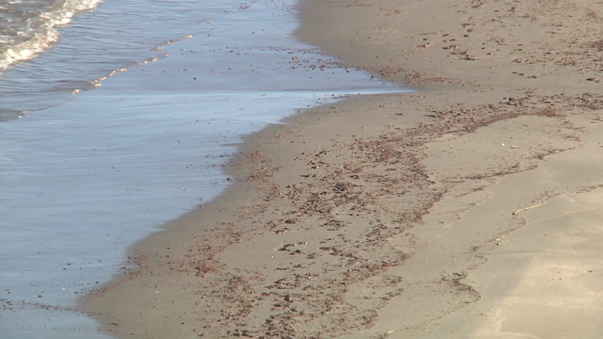 Oil Dispersants on beach at the beach of Grand Isle, LA  because of oil pollution from the Deepwater Horizon Disaster