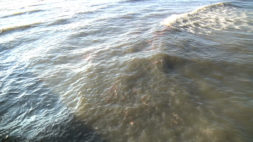 Oil Dispersants in water at the beach of Grand Isle, LA  because of oil pollution from the Deepwater Horizon Disaster