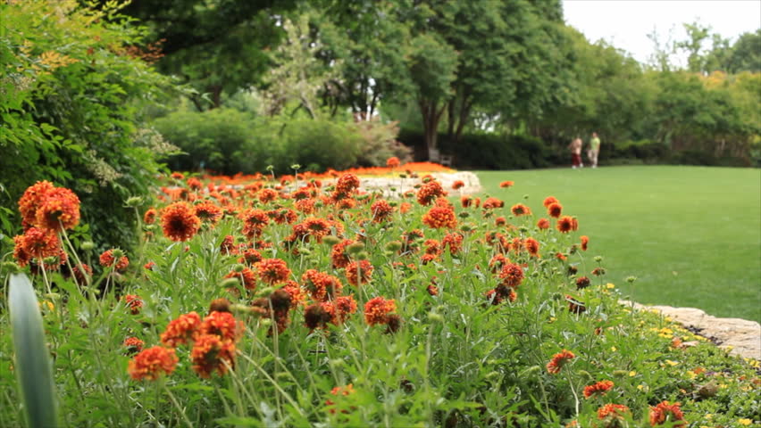 A row of lovely red flowers line the lawn of a botanical garden.