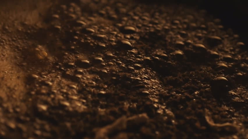 Foam