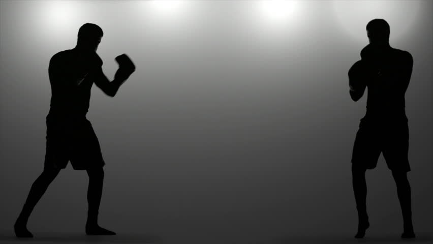 Two Boxers Showdown