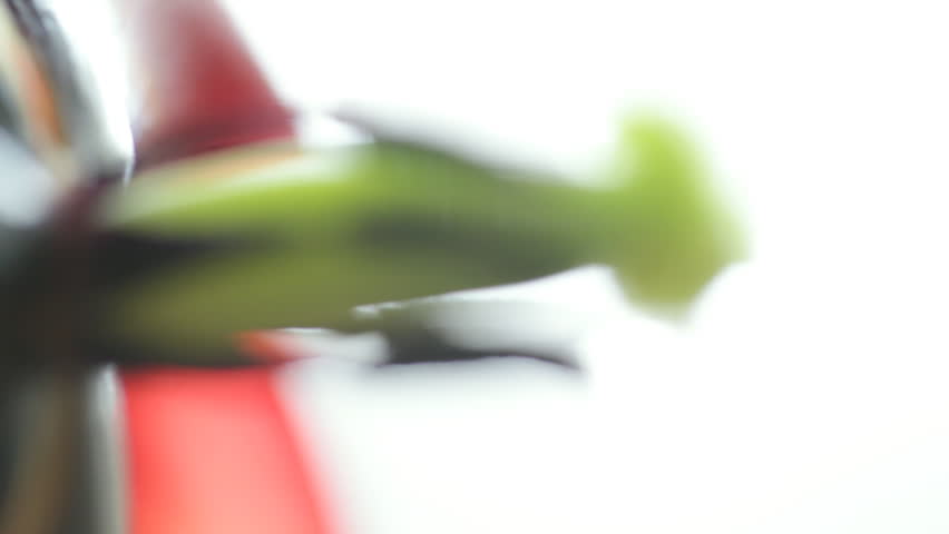 Dew on tulip pistil, macro shifting focus