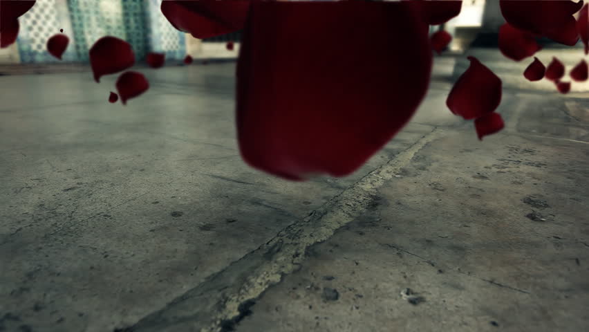 Red rose leafs floating and flying over obsolete marble ground  CGI generated, color matched image with nice shadow effects / HD1080 / 30fps