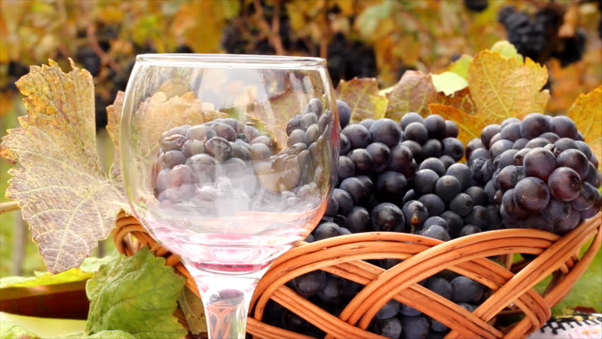 Pouring red wine into a glass