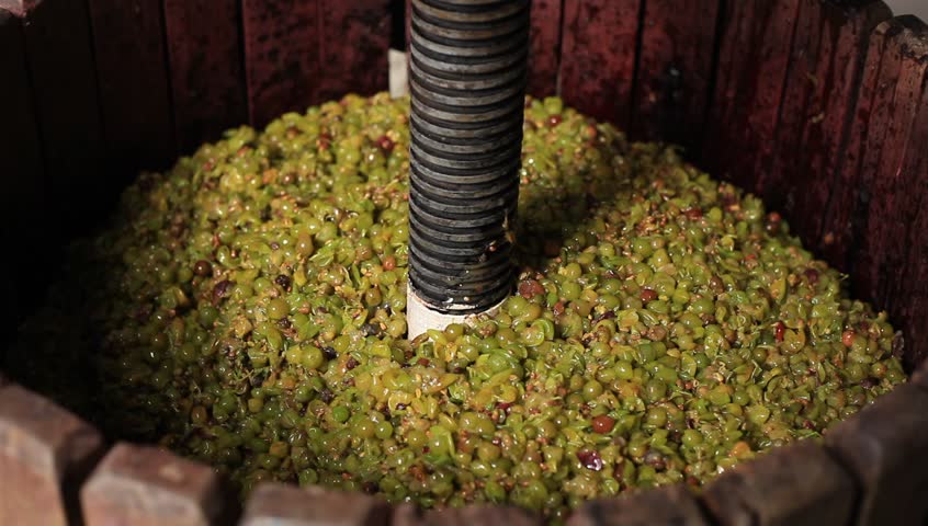 making wine