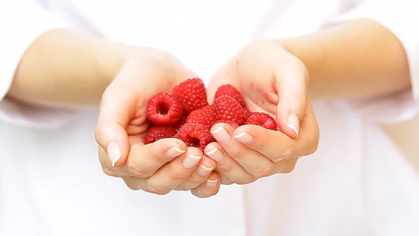 Fresh raspberries in woman's hands.