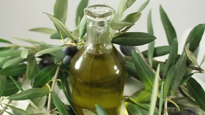 Olive branch with ripe olives and olive oil extra virgin 