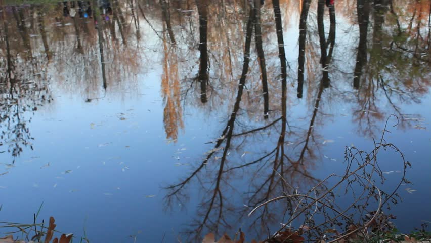 Ripples in a lake from a splashing object 