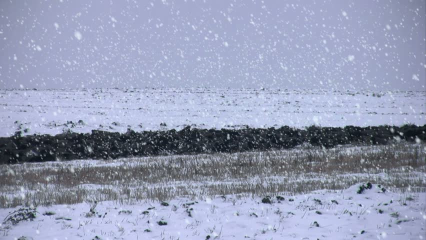 Soil preparation, deep plowing against weather conditions