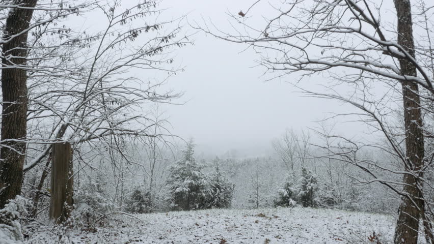 Grey Winter Sky Framed By Stock Footage 100 Royalty Free Grey Winter Sky Framed By Bare Trees In 4k Snow Coats A Freezing Forest The Exterior Shot Of Holiday Weather Represents Climate Change