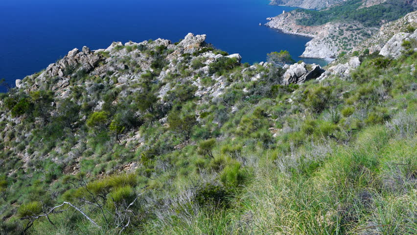 Header of Maro