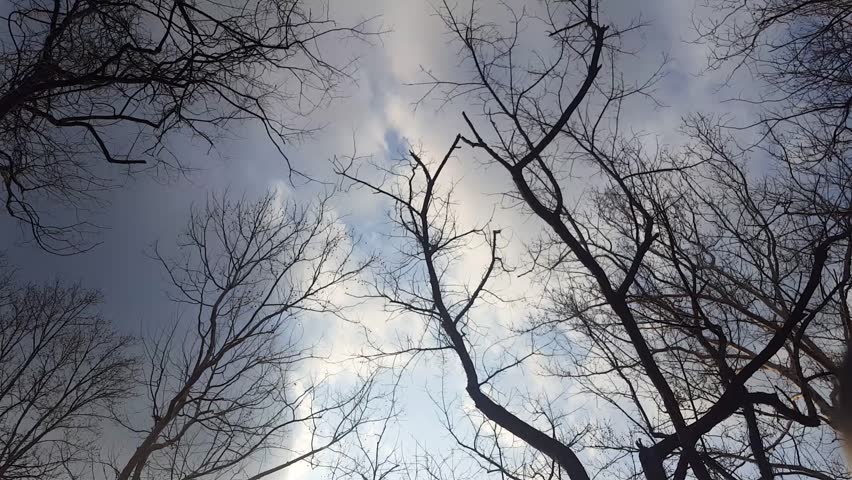 Header of Radnor