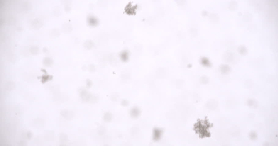 Real Looking Falling Snow With Transparent Background Stock Footage