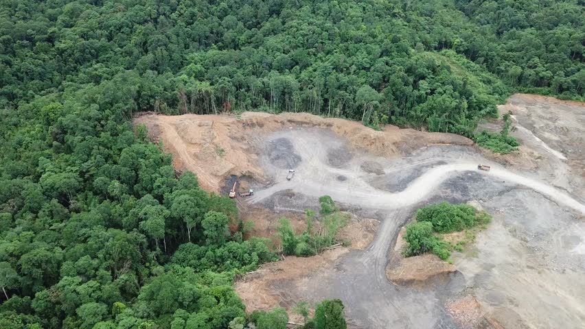  Deforestation  Rainforest in Borneo  Malaysia Stock 